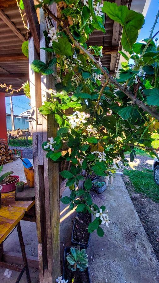 Hostel Cape Town - Cambara Do Sul Exterior photo